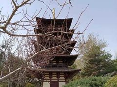 -北京世界公园