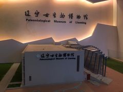 -辽宁古生物博物馆