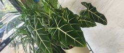 -木北护肤造型