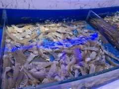 水产区-澜悦港海鲜体验主题餐厅