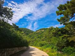 -北京西山国家森林公园