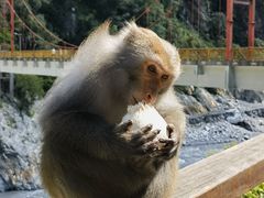 -太鲁阁公园