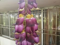 -云溪植物园