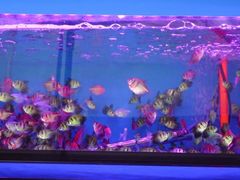 -西宁市人民公园(城西区)