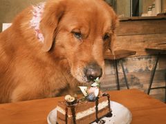 -六区宿舍咖啡店