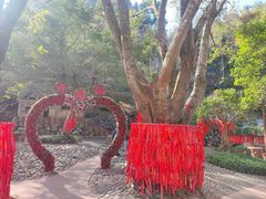 -灵光寺