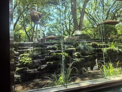-浙江宾馆·花园餐厅·自助餐厅·茶吧