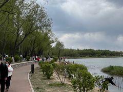 -丁香湖公园