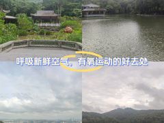 -广州市白云山风景名胜区