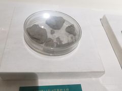-王府井古人类文化遗址博物馆