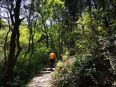 -青龙山国家森林公园