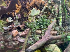 -正佳雨林生态植物园