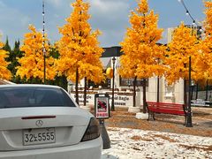 -Blue Concept Cafe&Farm·關於藍