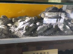 -惠州科技馆