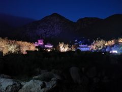 -禅宗少林·音乐大典