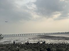 -宝安西湾红树林湿地公园