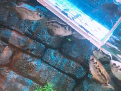 -沈阳海洋探索中心