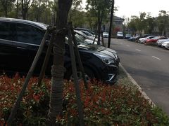 -上海浦江郊野公园-2号停车场