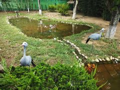 -西霞口神雕山野生动物世界