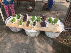 -美家乐农庄·露营·团建(大治路店)