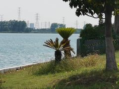 -漕湖湿地公园