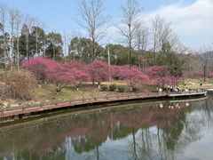 -黄陂区野村谷景区
