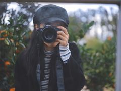 -柑橘农场