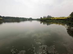 -东郊湿地公园