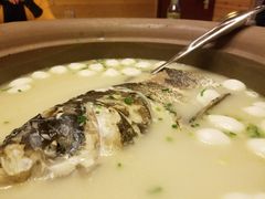 天目湖鱼头-海江5号