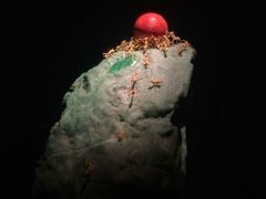 -深圳珠宝博物馆