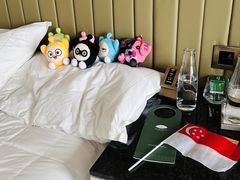 -新加坡文华东方酒店