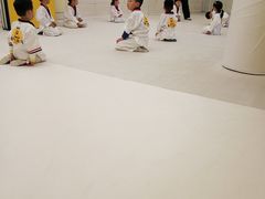 -勇气斑马·巴西柔术&跆拳道(浦东三林店)