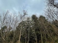 -南京金牛湖风景区