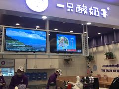 -一只酸奶牛(丹尼斯大卫城店)