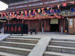 -龙口南山旅游景区