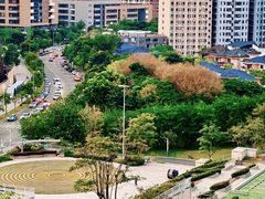 -白石龙音乐公园