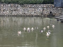 -宁波柏悦酒店·钱湖渔港