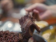 -农汤老店(顺联公园里店)