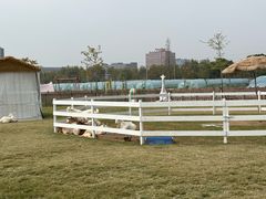 -栖露营camping·天幕烧烤·团建拓展·采摘营地