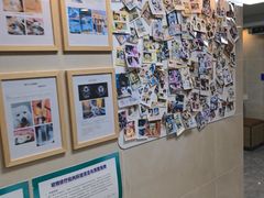 -半岛宠物医院24小时·内窥镜·牙科·碎石中心(府城大道店)