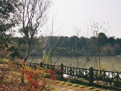 -武汉紫薇都市田园