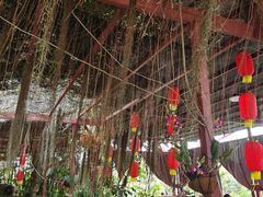 -万兴启丰椰子文化园餐厅