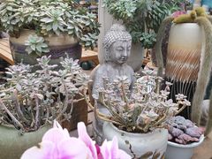 -桂林市花鸟市场