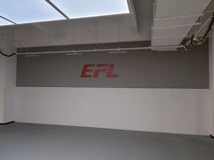 -EFL巴西柔术·综合格斗·泰拳·少儿体能训练(虹桥德必馆)