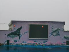 -北戴河圣蓝海洋公园