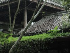 -乐领拈花溪·林涧食韵