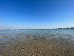 -集美鳌园景区