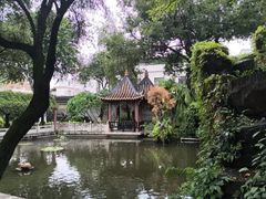 -碧江金楼