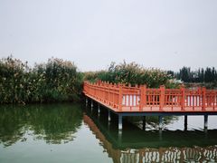-乌梁素海景区