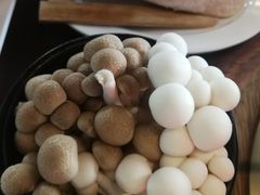 -鼎王麻辣锅(七贤店)